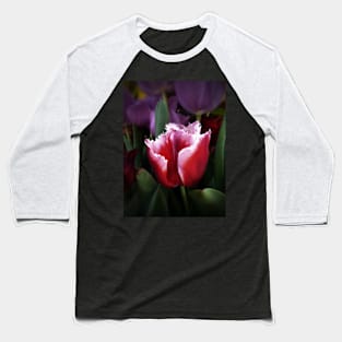 Fringed Pink and White Tulip Baseball T-Shirt